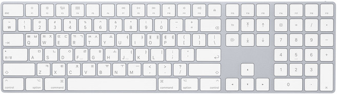 Apple Magic Keyboard with Numeric Keypad, 실버, 한국어