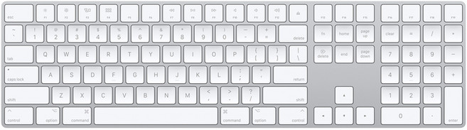 Apple Magic Keyboard with Numeric Keypad, 실버, 영어