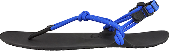 XERO SHOES 女款 Genesis 涼鞋 GEN-W, 寶藍色(GEN-W-RBL), 240