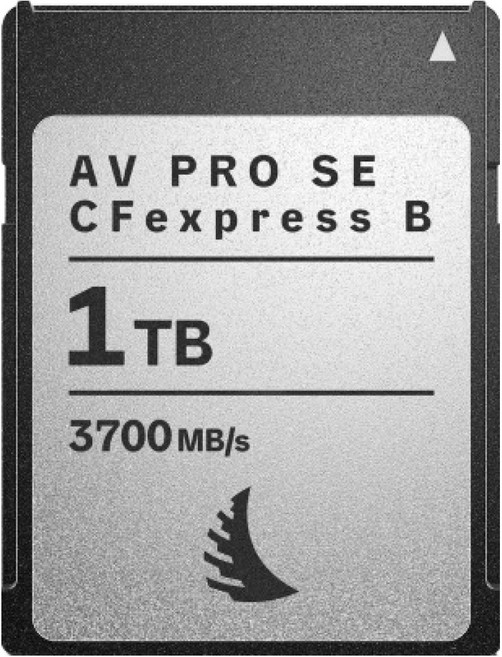 엔젤버드 AV PRO SE CFexpress 4.0 Type B 메모리카드, 1개, 1TB