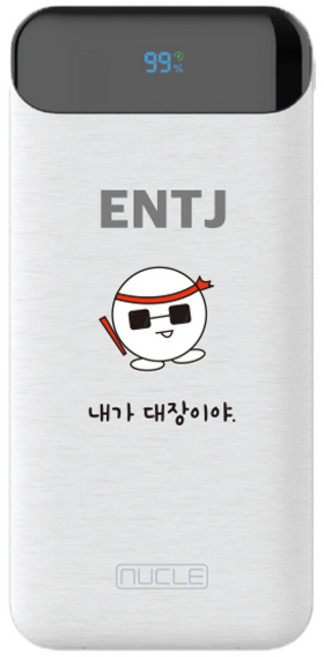 뉴클 MBTI PD 22.5w 10000mAh 보조배터리 ENTJ, 화이트, NCPB-10KPD-15-LGC
