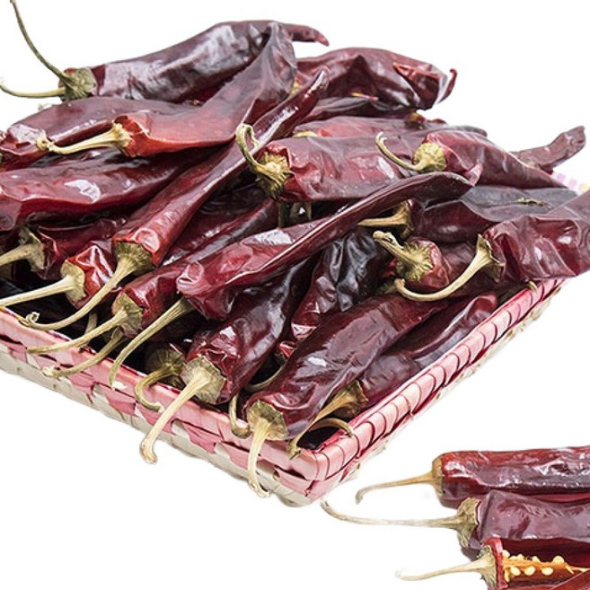 맛템 건고추, 100g, 1개