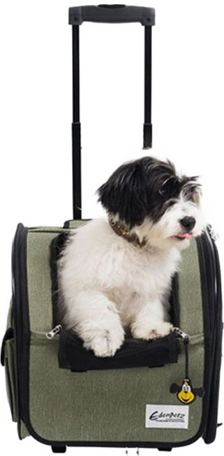 에덴펫츠 레드퍼피 반려동물 오버솔 이동가방, 카키, 1개