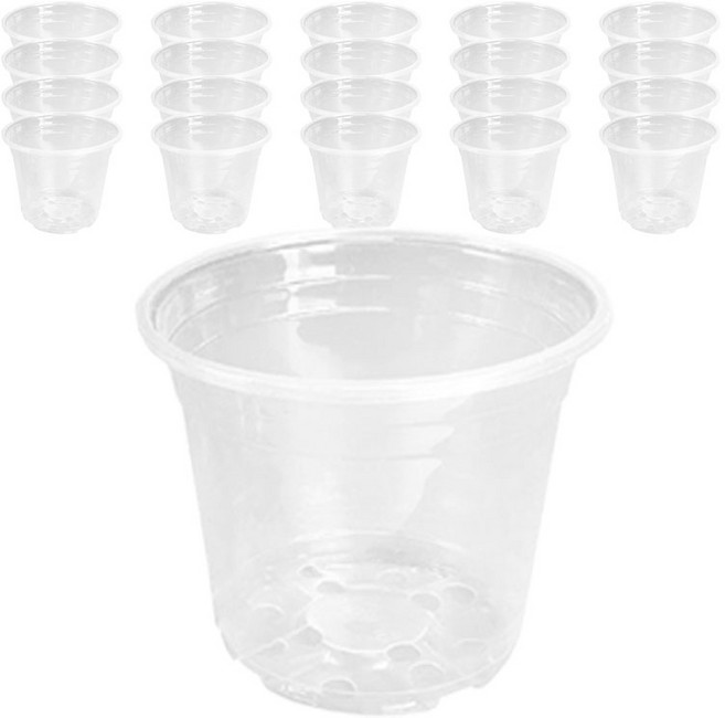 비레오 뿌리가 잘 보이는 화분, 투명, 20개