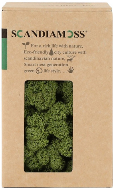 SCANDIAMOSS 空氣淨化植物苔蘚 中型綠色 150g, 1個