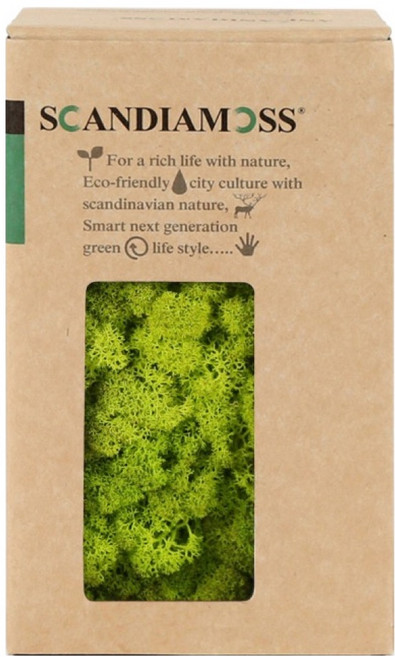 SCANDIAMOSS 空氣淨化植物 苔蘚 春綠色 150g, 1個