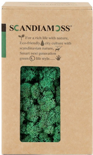 SCANDIAMOSS 空氣淨化植物苔蘚太平洋綠 150g, 太平洋綠, 1個
