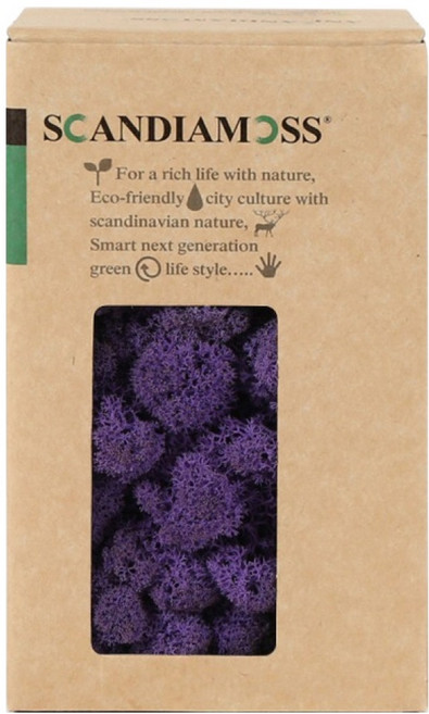 SCANDIAMOSS 空氣淨化植物苔蘚 紫色 150g, 1個
