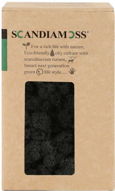 SCANDIAMOSS 空氣淨化植物苔蘚 黑色 150g, 1個