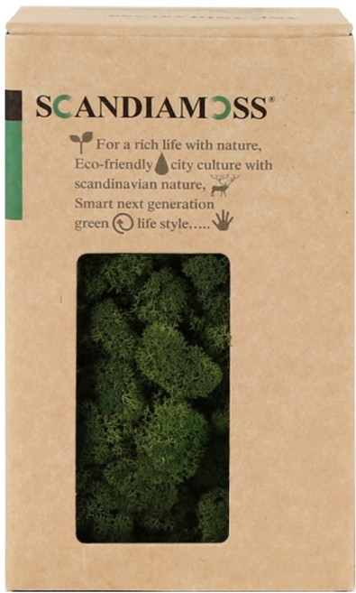 SCANDIAMOSS 空氣淨化植物 苔蘚 苔蘚綠 150g, 5號 苔蘚綠
