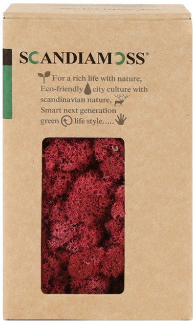 SCANDIAMOSS 空氣淨化植物苔蘚 紅色 150g, 1個