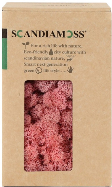 SCANDIAMOSS 空氣淨化植物苔蘚 粉色 150g, 1個