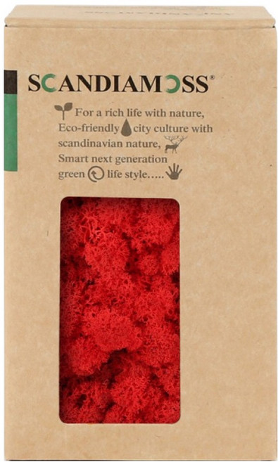 SCANDIAMOSS 空氣淨化植物苔蘚紅色 150g, 1個