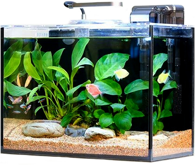 아쿠아렉스 COB LED 조명 여과기 일체형 올디아망 어항 세트 F형, 실버(여과기), 1세트