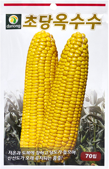 다농 초당옥수수 씨앗 70p, 1개