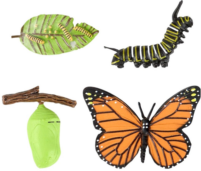 캐스비 네이처 성장과정 피규어 나비 세트, 1세트