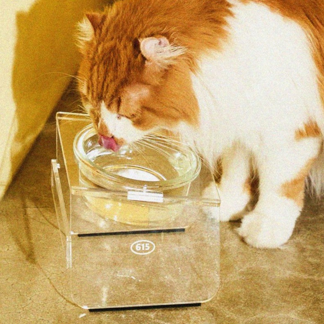 우다다맨숀 고양이 아크릴 식기 1구, 클리어, 1개