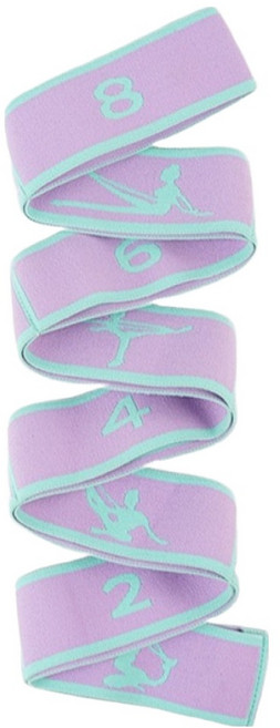 코어가드 헬스 트레이닝 탄성저항밴드, 퍼플, 1개