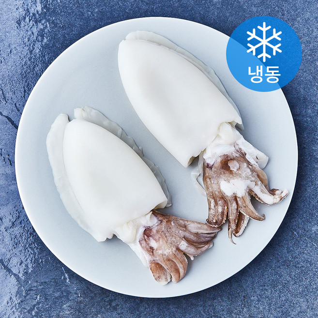 손질통 갑오징어 2미 (냉동), 1개, 450g