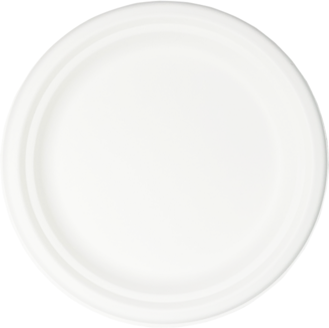 파피루스 일회용 사탕수수 펄프 캠핑 접시 26cm 화이트 P-005, 1개입, 50개