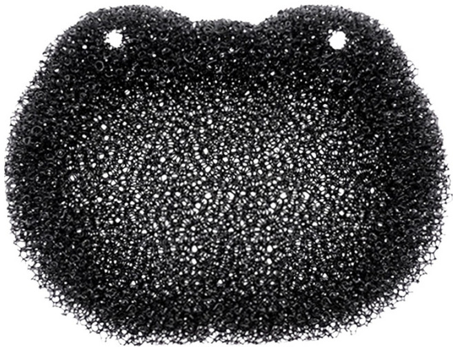 월드크린 개구리 비누 받침대, 블랙, 1개