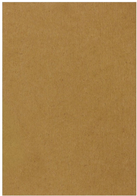 코텍스 직사각 긁힘방지패드, 1개