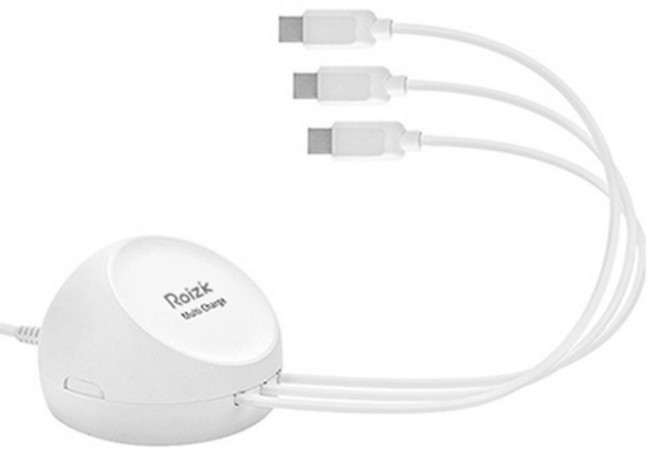 로이직 엣지 C타입 3p 멀티충전기 RZ-103, 화이트, 1개