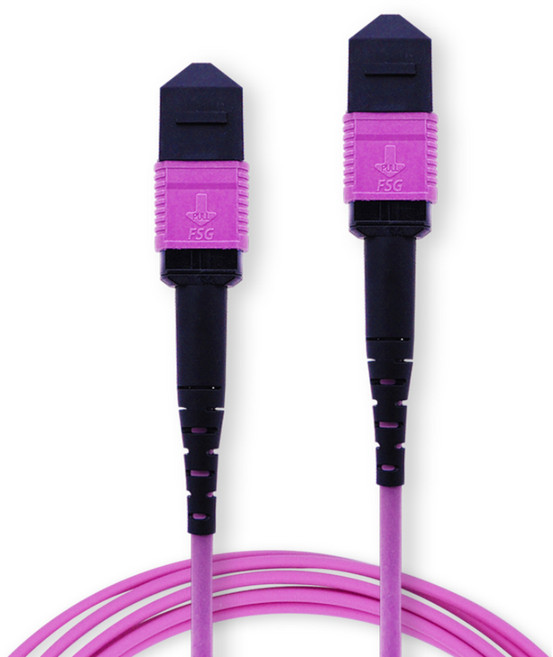 MYBESTFRIEND MPO F to MPO F 12C OM4 光纖跳線 MBF-MPO405, 紫紅色, 5m, 1個