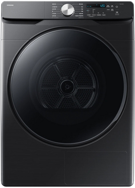삼성전자 AI 건조기 21kg 방문설치, DV21DG8200BV, 블랙캐비어