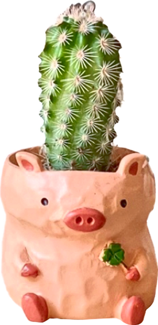 UMEZAWA TRADING 無底孔小豬造型樹脂花盆 可愛動物造型 居家園藝擺飾, 1個, 粉色