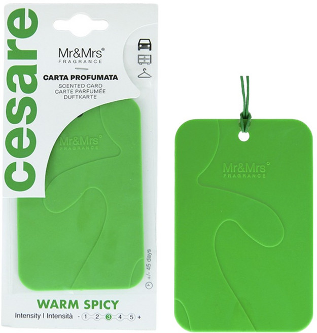 미스터앤미세스 체사레 카드형 멀티 차량용 방향제, 1개, 웜 스파이시