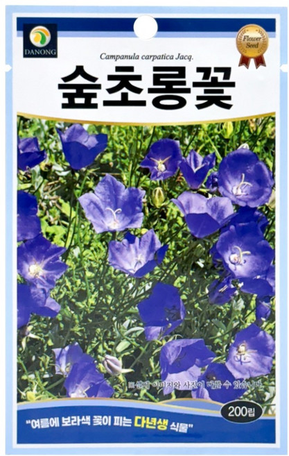 다농 숲초롱꽃 씨앗 200p, 1개