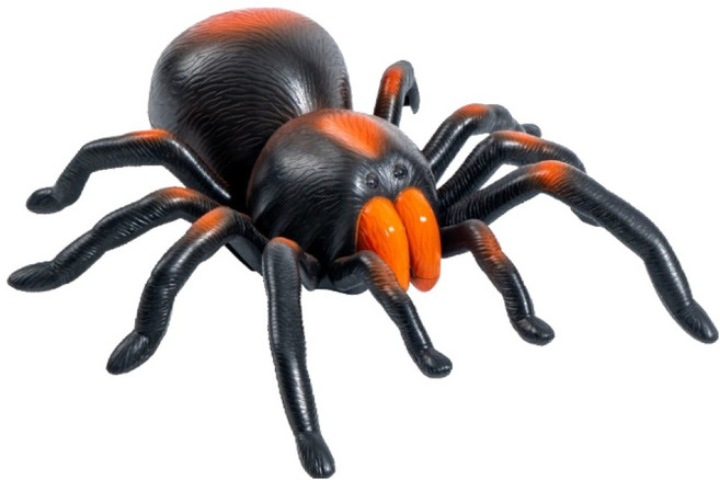 타란튤라 RC 무선조종 곤충 작동 완구, 혼합색상, 1개