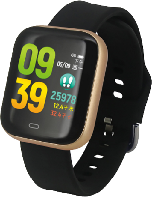 Ergotech 人因科技 心率智慧監測運動手錶 紳士金 黑錶帶, 黑色, GPS + 藍牙, 3.3cm