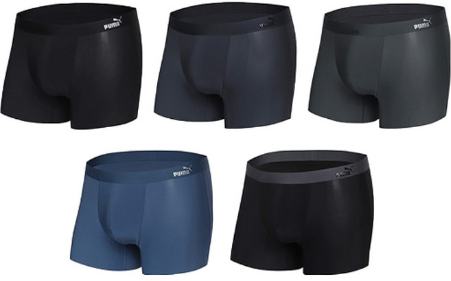 푸마바디웨어 빅사이즈 포함 남성용 프리컷 퓨징밴드 드로즈 5종 세트