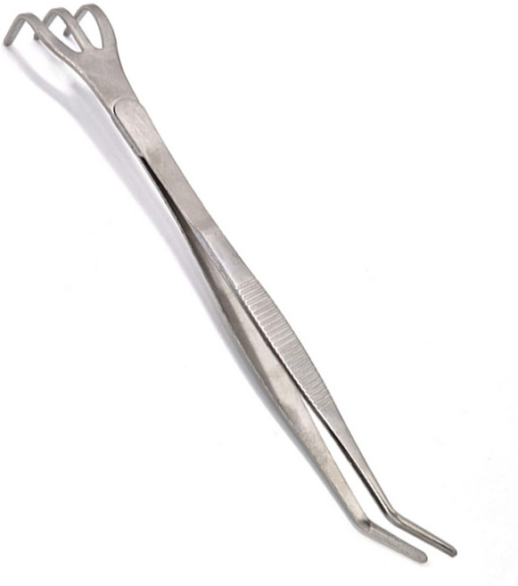 데이지안 스텐 다육이 원예용 곡선형 핀셋, 1개