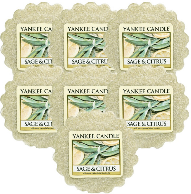 YANKee CANDLe 無燭芯香氛蠟塊, 22g, 鼠尾草與柑橘, 7個
