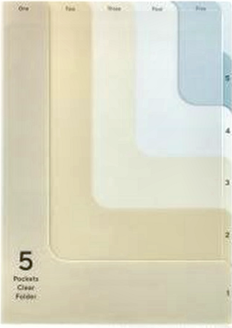 日本 MIDORI 5層資料夾 A4 透明文件夾, 淺褐色, 1個