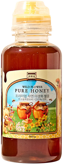 정원담 프리미엄 자연 야생화 순수 벌꿀, 1개, 500g
