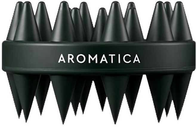 아로마티카 듀얼 스칼프 샴푸 브러쉬, 검정, 1개