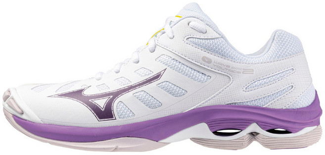 Mizuno 美津濃 WAVE VOLTAGE 男排球鞋 V1GC246035