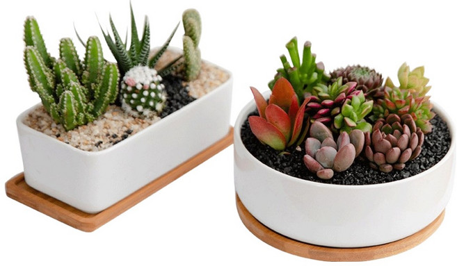 살림의발견 도자기 다육이 화분 2종, 1세트