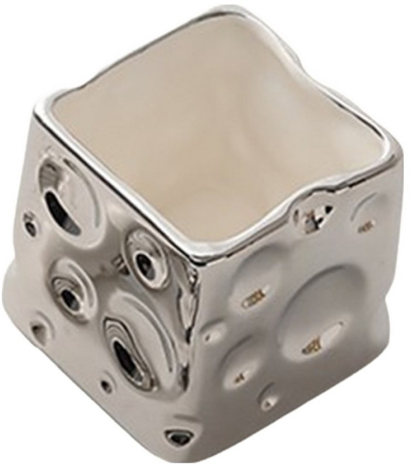 골드팡 세라믹 치즈 브러쉬 붓 펜 수납함, 실버, 1개