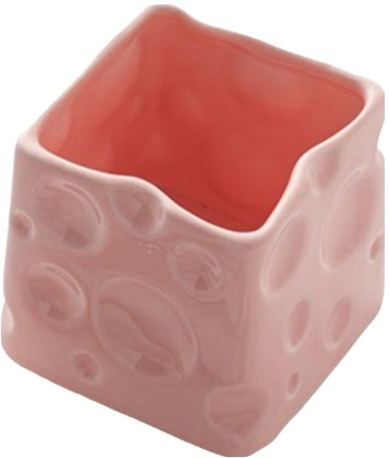 골드팡 세라믹 치즈 브러쉬 붓 펜 수납함, 핑크, 1개