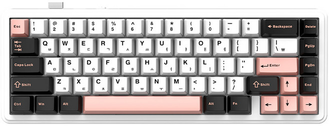 AULA 유무선 펀키스독거미 한글 기계식 텐키리스 키보드, 올리비아 화이트, F65, 저소음 바다축