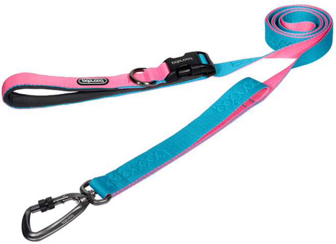 분독 강아지 플레이 리쉬 2m + 카라비너 세트, 아쿠아핑크, 1세트