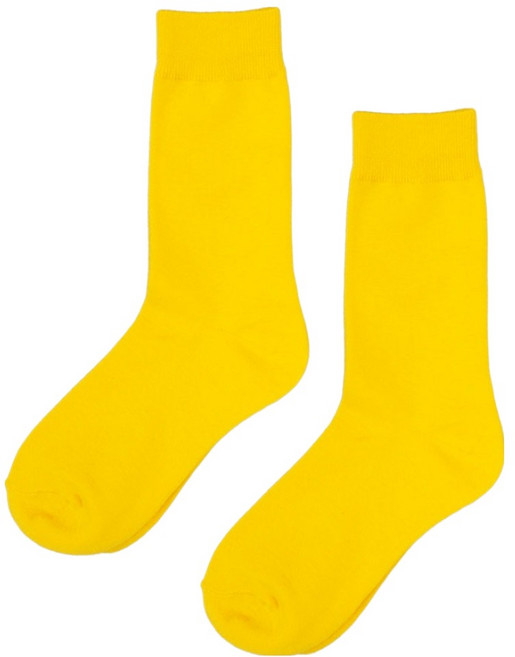 지앤 아이부터 엄마까지 g패밀리 비비드 컬러 양말 2켤레 세트