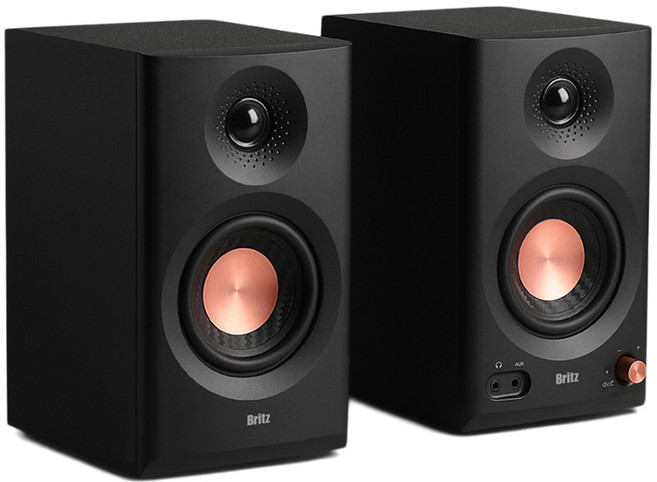 브리츠 블루투스 홈스튜디오 모니터 스피커, BR-Monitor5, 블랙