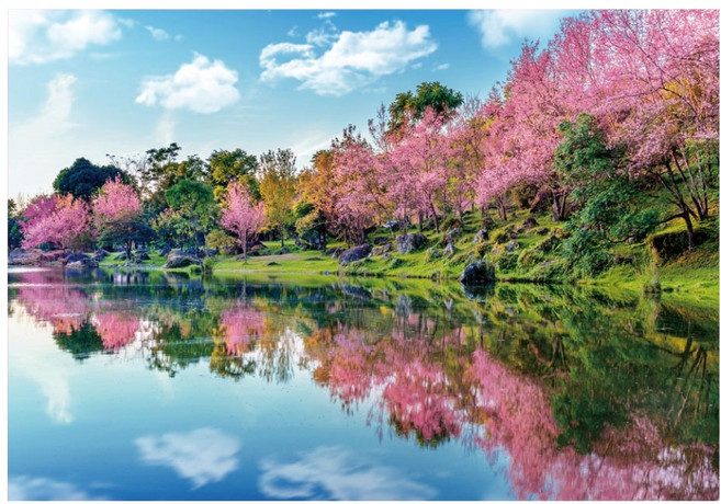 퍼즐갤러리 벚꽃이 만개한 봄의 호수 퍼즐갤러리 PG1050, 1개, 혼합색상, 1000피스