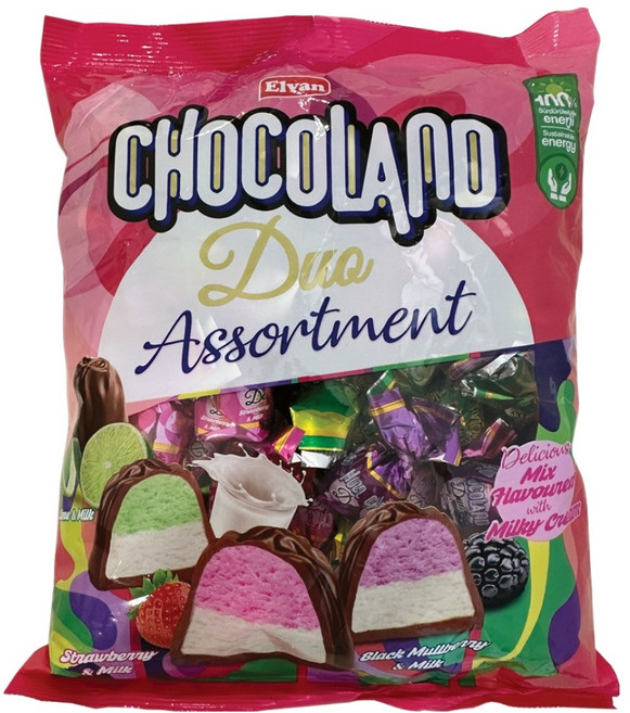 엘반 초코랜드 듀오 어솔트먼트 초콜릿, 1개, 500g